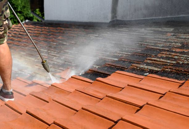 Best Power Washing Near Me  in Lake Jackson, TX