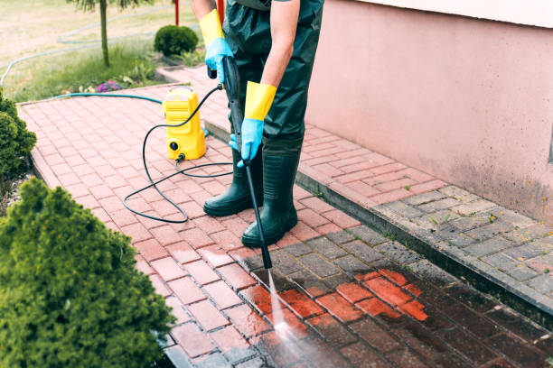 Best Local Pressure Washing Services  in Lake Jackson, TX