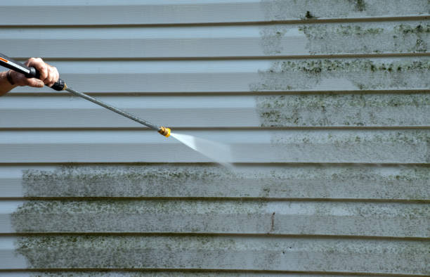 Roof Power Washing Services in Lake Jackson, TX