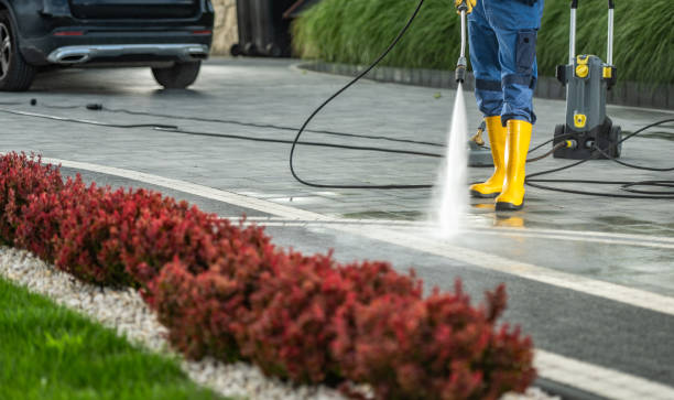Best Exterior Home Cleaning  in Lake Jackson, TX