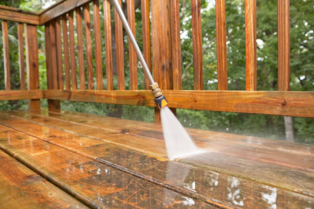Best Affordable Pressure Washing  in Lake Jackson, TX